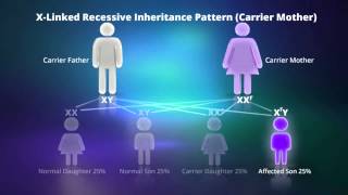 What is Xlinked Recessive Inheritance [upl. by Elag631]