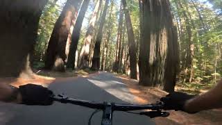 Humboldt Redwoods State Park Mattole Road 9102024 [upl. by Ysiad498]