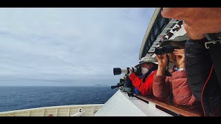 Marion Island The day we arrived Marion Island  Day 4 on 27 Jan 2022 [upl. by Perloff]