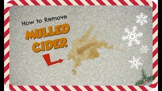 How to Remove Mulled Cider Spill Stain  Stain Fu Holidays [upl. by Brant887]