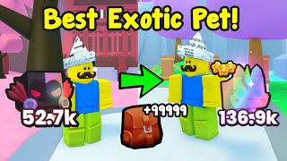 Got The Best Exotic Pet Infinite Loots Using This Method In Pet Simulator [upl. by Leribag]