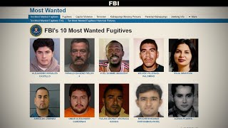 The FBIs 10 Most Wanted Explained [upl. by Akinod547]