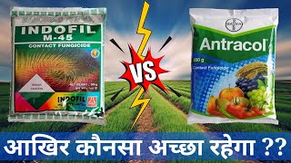 Propineb vs MancozebAntracol vs M45Who is BetterM45 Fungicide [upl. by Pliske142]