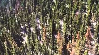 Wind Rider Zip Line Tour Ski Apache Ruidoso NM [upl. by Nomrah636]