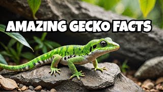 Fascinating Facts About Geckos [upl. by Ful]