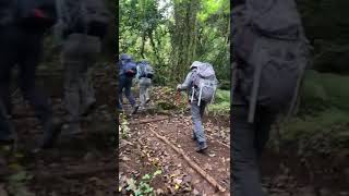 Climbing MtKilimanjaro with Sheengai Pride Safaris [upl. by Anoyek489]