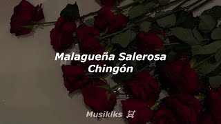 Malagueña Salerosa  Chingón Lyrics  Musiklks ☠️ [upl. by Eseela607]