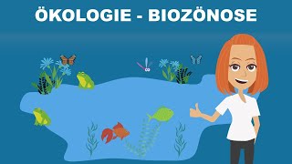 Biozönose  das Ökosystem einfach erklärt  Studyflix [upl. by Comstock]