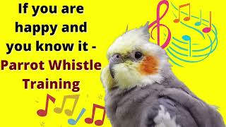 If you are happy and you know it  cockatiel singing training  Bird Whistle Training [upl. by Dena]