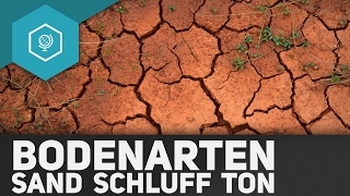 Bodenarten Was sind Sand Schluff und Ton  Böden Basics 4 [upl. by Arrad]