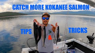 How to catch more Kokanee SALMON Guided Kokanee FISHING TRIP Stampede Reservoir [upl. by Kcinemod102]