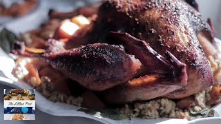 Oven Roasted Turkey Recipe MADE EASY [upl. by Honniball]