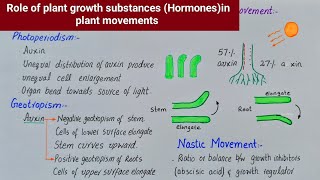 role of plant growth substances in plant movement  Plant hormones [upl. by Atiner]