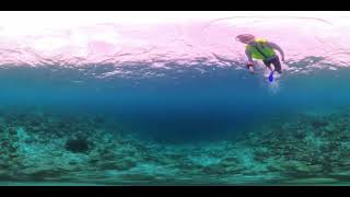 Movenpick Maldives  snorkeling at diving centre [upl. by Swihart]