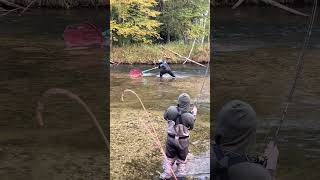 Catching King Salmon fishing freshwaterfish kingsalmon salmonrun salmon michigan fish [upl. by Burch286]