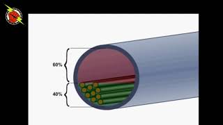 Conduit fill [upl. by Lrat]