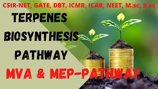 Terpenes  Terpenes Biosynthesis Pathway  Plant Secondry Metabolites biologyachievers [upl. by Sherborne]