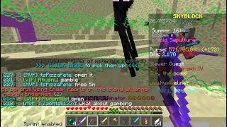 Enderman Slayer T4 100k Kill [upl. by Perreault]