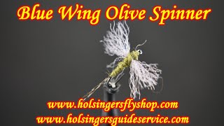 Blue Wing Olive Spinner Holsingers Fly Shop [upl. by Aika887]