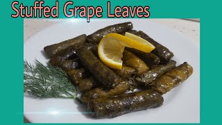 Stuffed Grape Leaves Turkish amp Greece Dolma Rice Grape Leaves Recipe Dolma Recipe [upl. by Mad]