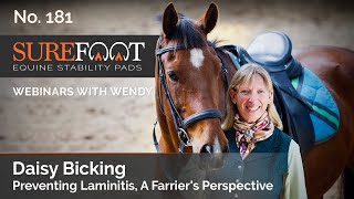 No 181 Daisy Bicking  Preventing Laminitis A Farriers Perspective [upl. by Htesil96]