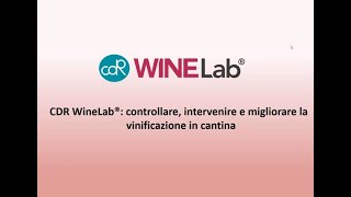 CDR WineLab® controllare intervenire e migliorare la vinificazione in cantina [upl. by Alboran]