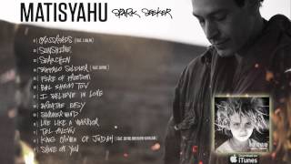 Matisyahu  Sunshine Spark Seeker [upl. by Karlis]