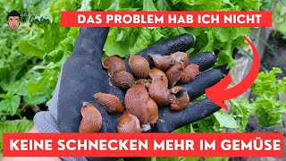 Gemüsegarten ohne Schnecken  So geht das [upl. by Eppesiug]