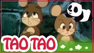 Tao Tao  episodi 11  Suuri kysymys pikku hiiri [upl. by Fryd]