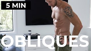 5 MIN OBLIQUES WORKOUT NO EQUIPMENT LOVE HANDLE WORKOUT [upl. by Williamsen345]