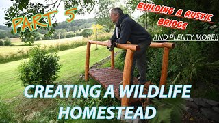 BUILDING A WILDLIFE HOMESTEAD PART 5  RUSTIC BRIDGE THE HIDE BEGINS CREATE A CAR PARK [upl. by Annij]