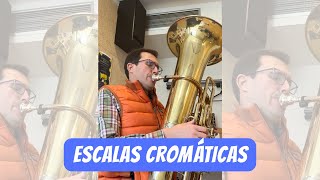 Escalas cromáticas COMPLETO [upl. by Macfadyn]