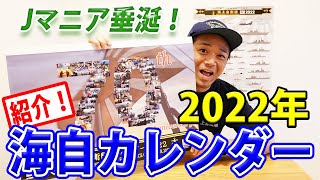 【海上自衛隊】入手困難海自2022年カレンダーマニア垂涎の自衛隊グッズ [upl. by Balthasar]