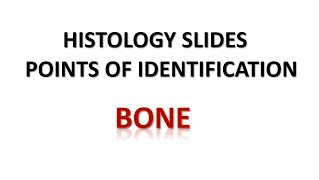 Bone Histology  Points of Identification [upl. by Dyal951]