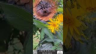 Magic Witchy Flower Garden Art Piece Leather Faced Sun Flower by Tyra InnisHarvie shortvideo [upl. by Sissie]