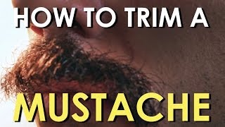 How to Trim Your Mustache  The Art of Manliness [upl. by Auqinal]