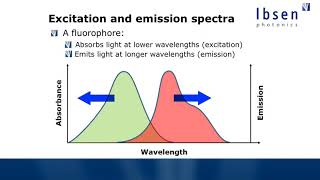 Fluorescence Spectroscopy Tutorial  Basics of Fluorescence [upl. by Druce]