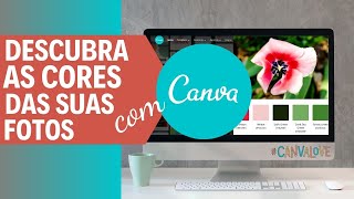 COMO USAR A PALETA DE CORES NO CANVA E DESCOBRIR AS CORES DAS SUAS FOTOS  CANVA TUTORIAL 03 [upl. by Cyb]