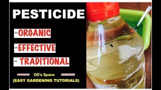 HOW to make Organic PESTICIDE at home POWERFUL MULTIPURPOSE EASY [upl. by Camm]