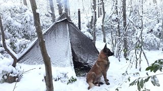 Winter Snowstorm Camping With My Dog  Bushcraft Survival Stove Cooking Nature Movie Asmr [upl. by Fawne]