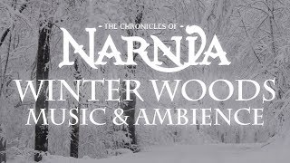 Chronicles of Narnia  Winter Woods Music amp Ambience  Relaxing Music with Sounds of Winter [upl. by Nanah]