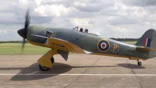 Hawker Sea Fury  Power of the Centaurus [upl. by Crocker]