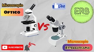 🔬MICROSCOPIO ÓPTICO VS MICROSCOPIO ESTEREOSCOPICO  El rincón biológico💚 [upl. by Moncear66]