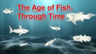 The Age of Fish [upl. by Shorter]