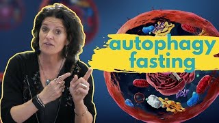 AUTOPHAGY FASTING  How Long Should You Fast to Maximize Your Health Benefits [upl. by Atinuhs]