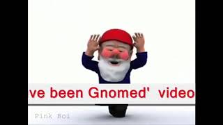 Youve been gnomed [upl. by Rovit]