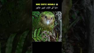 Exotic Animals Most Rare Animals in the world facts shorts ytshorts [upl. by Ayinat104]