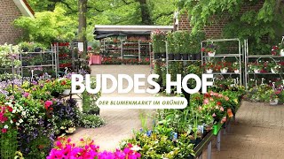 Buddes Hof  der Blumenmarkt im Grünen [upl. by Eeliram]