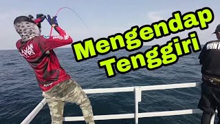 Jigging di Unjam Penang  Teknik Jigging Tenggiri [upl. by Trautman]