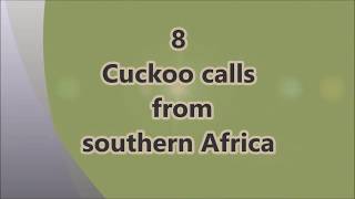 8 southern African cuckoo calls [upl. by Naasah769]